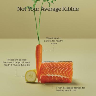 Good Gravy Salmon Recipe Grain-Free Adult Dry Cat Food, 8-lb bag