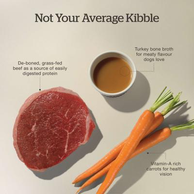 Good Gravy Senior Chicken-Free Beef Recipe with Ancient Grains Dry Dog Food, 22-lb bag