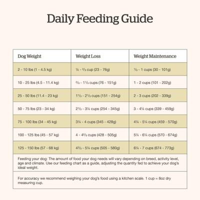 Good Gravy Adult Chicken-Free Beef Recipe with Ancient Grains Dry Dog Food, 22-lb bag