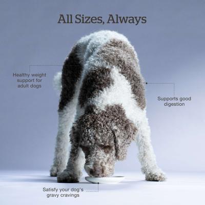 Good Gravy Adult Chicken-Free Beef Recipe with Ancient Grains Dry Dog Food, 22-lb bag