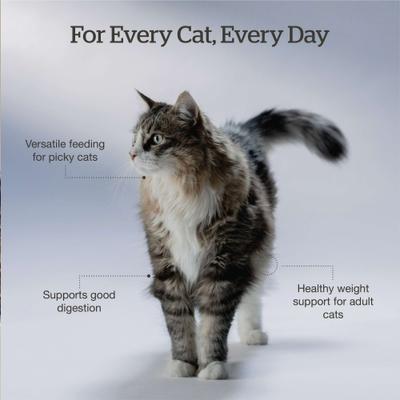 Good Gravy Salmon Recipe Grain-Free Adult Dry Cat Food, 8-lb bag