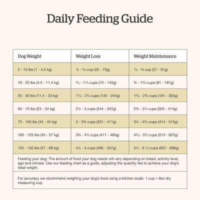 Good Gravy Senior Chicken-Free Beef Recipe with Ancient Grains Dry Dog Food, 22-lb bag