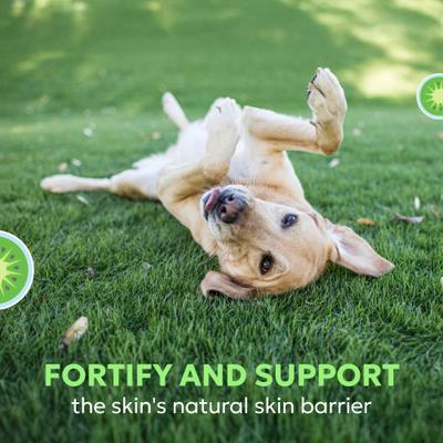 Suplemento masticable de vitaminas Dermaquin Skin Support para perros grandes, 60 unidades