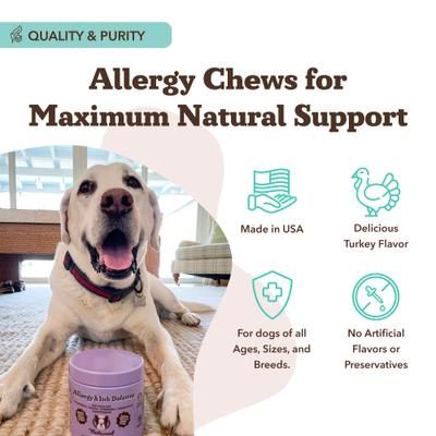 Allergy & Itch Defense Chews Dog Supplement, 90 count