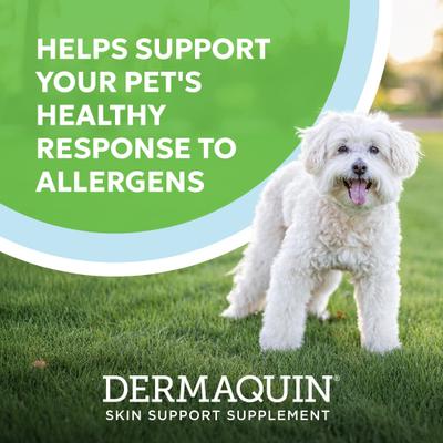 Dermaquin Skin Support Vitamins Chew Supplement for Small & Medium Dogs & Cats, 60 count