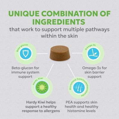 Suplemento masticable de vitaminas Dermaquin Skin Support para perros y gatos pequeños y medianos, 60 unidades