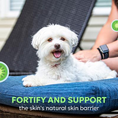 Suplemento masticable de vitaminas Dermaquin Skin Support para perros y gatos pequeños y medianos, 60 unidades