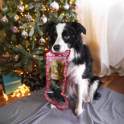 Christmas Stocking 5 Piece Variety Pack Dog Natural Chew Treats with Holiday header, 10.8-oz