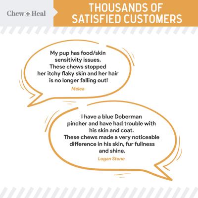 Essential 12-In-1 Multifunctional Support Chews Dog Vitamin Supplement & Chew + Heal Omega Skin + Coat Chews Dog Vitamin Supplement, 120 count