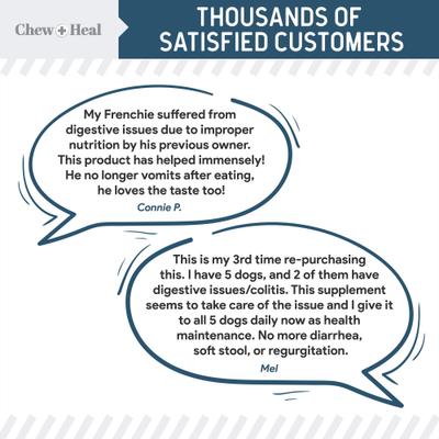 Essential 12-in-1 Multifunctional Support Chews Dog Supplement & Chew + Heal Digestive Enzymes Chews Dog Supplement, 240 count