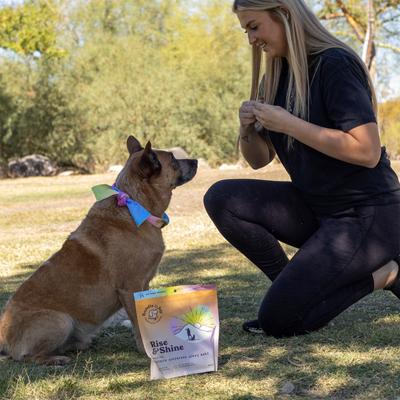 Rise & Shine Chicken Grain-Free Superfood Bars Jerky Dog Treats, 16-oz bag