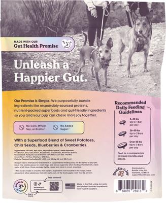 Rise & Shine Chicken Grain-Free Superfood Bars Jerky Dog Treats, 16-oz bag