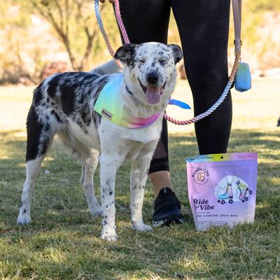 Ride & Vibe Salmon Grain-Free Superfood Bars Jerky Dog Treats, 16-oz bag