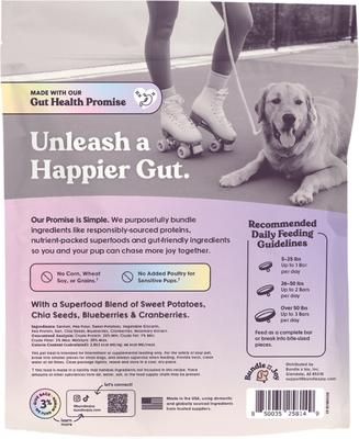 Ride & Vibe Salmon Grain-Free Superfood Bars Jerky Dog Treats, 16-oz bag