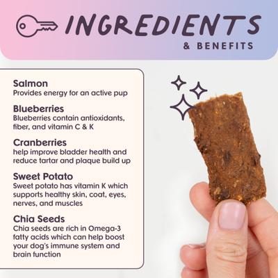 Ride & Vibe Salmon Grain-Free Superfood Bars Jerky Dog Treats, 16-oz bag