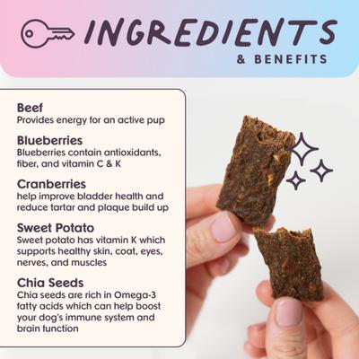 Leash & Load Beef Grain-Free Superfood Bars Jerky Dog Treats, 16-oz bag