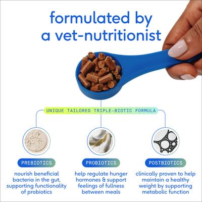 Native Pet, GutWell Trim Down, Prebióticos + L-Carnitina + Probióticos + Postbióticos para Peso y Metabolismo, Perros, 60 scoops