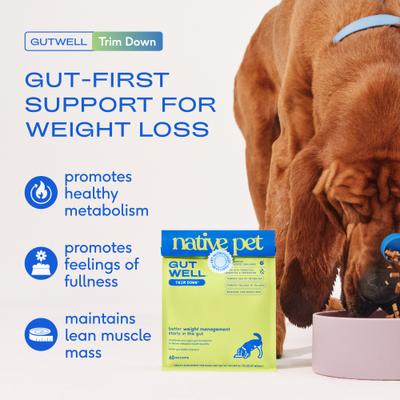 Native Pet, GutWell Trim Down, Prebióticos + L-Carnitina + Probióticos + Postbióticos para Peso y Metabolismo, Perros, 60 scoops