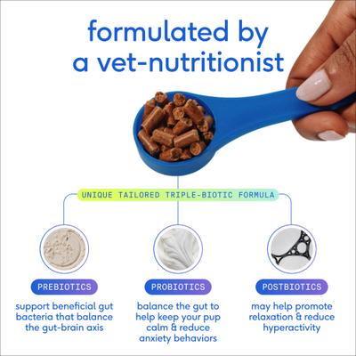 GutWell Stress Support Anxiety Relief & Calming Supplement for Dogs with Probiotics, 12.7-oz