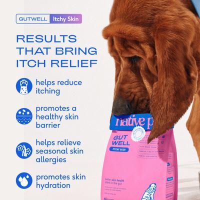Native Pet, GutWell Itchy Skin, Prebióticos + Probióticos + Postbióticos + Zinc + Vitamina E para Piel e Inmunidad, Perros, 60 / 120 scoops