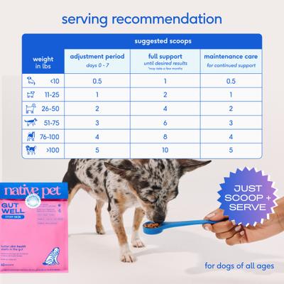 Native Pet, GutWell Itchy Skin, Prebióticos + Probióticos + Postbióticos + Zinc + Vitamina E para Piel e Inmunidad, Perros, 60 / 120 scoops
