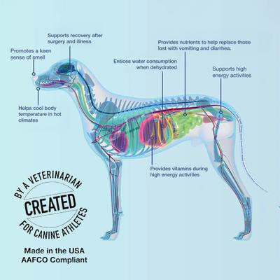 Recovery All-Natural Dog Powder Supplement, 10 count