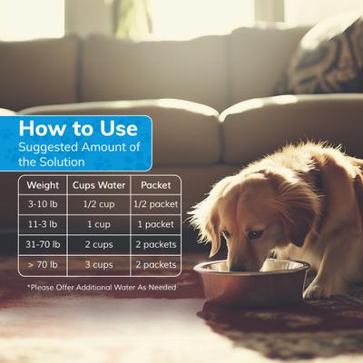 Recovery All-Natural Dog Powder Supplement, 10 count