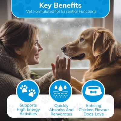 Recovery All-Natural Dog Powder Supplement, 10 count