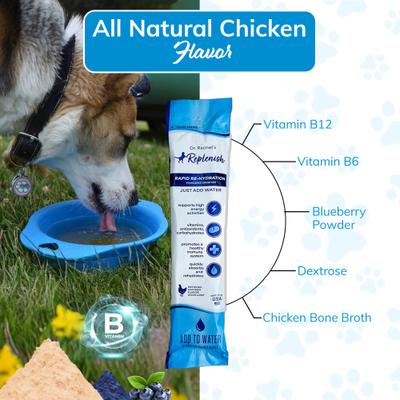 Recovery All-Natural Dog Powder Supplement, 10 count