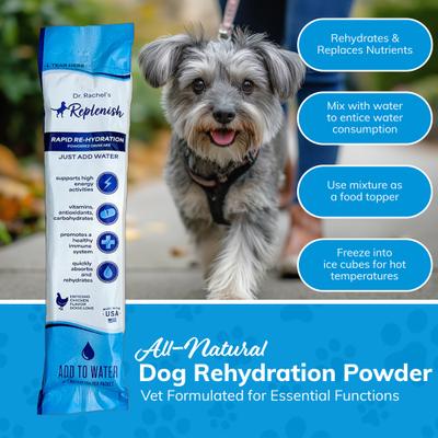 Recovery All-Natural Dog Powder Supplement, 10 count