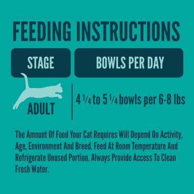 Comida húmeda para gatos Salmon Entree, envase dividido, 2.6 oz, caja de 10