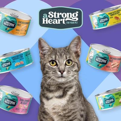 Shredded Chicken Dinner in Gravy Wet Cat Food, 5.5-oz, case of 24