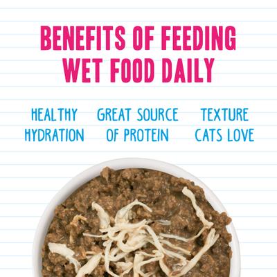 Big Feline Feast Variety Pack Canned Cat Food, 10-oz, case of 12