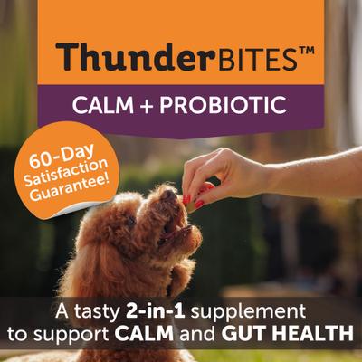 Calm+ Probiotic Chicken Flavored Chew Calming Supplement for Dogs, 90 count