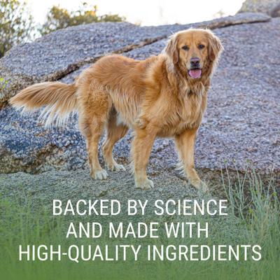 Suplemento para la salud hepática y cerebral de Laboratories Denosyl, comprimidos estabilizados para perros grandes, 30 comprimidos