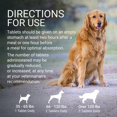 Suplemento para la salud hepática y cerebral de Laboratories Denosyl, comprimidos estabilizados para perros grandes, 30 comprimidos