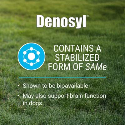 Suplemento para la salud hepática y cerebral de Laboratories Denosyl, comprimidos estabilizados para perros grandes, 30 comprimidos