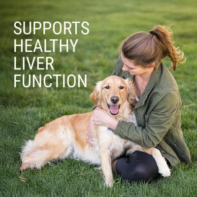 Suplemento para la salud hepática y cerebral de Laboratories Denosyl, comprimidos estabilizados para perros grandes, 30 comprimidos