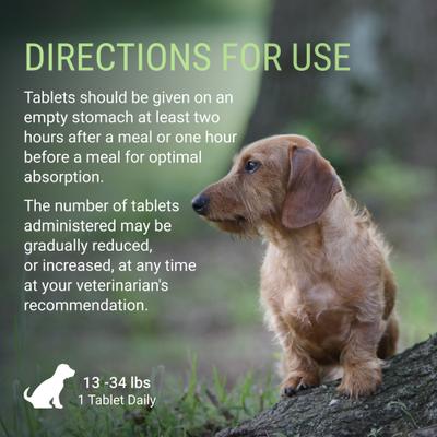 Laboratories Denosyl Liver & Brain Health Supplement Stabilized Tablets for Medium Dogs, 30 count