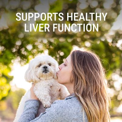 Laboratories Denosyl Liver Health Supplement Stabilized Tablets for Small Dogs & Cats, 30 count