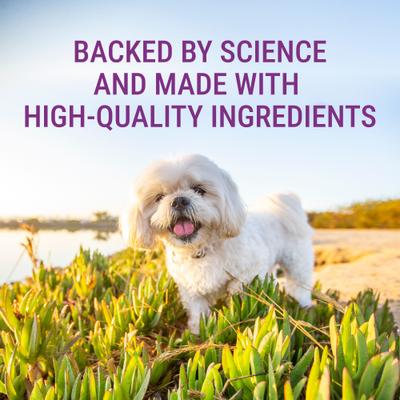 Laboratories Denosyl Liver Health Supplement Stabilized Tablets for Small Dogs & Cats, 30 count