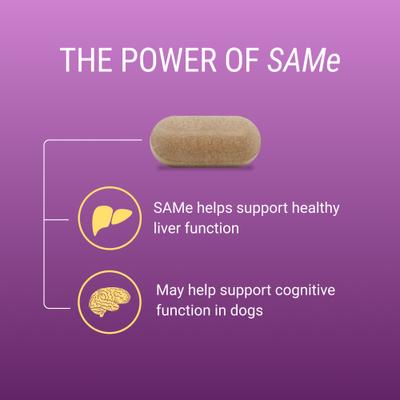 Laboratories Denosyl Liver Health Supplement Stabilized Tablets for Small Dogs & Cats, 30 count