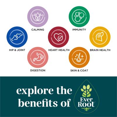 By Purina Calming Soft Chews Supplement for Dogs, 10.6-oz canister