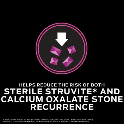 UR Urinary Ox/St Dry Dog Food, 6-lb bag