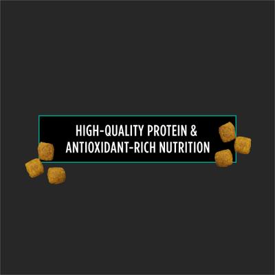 Alimento seco para perros gastroentérico EN, bolsa de 25 lb