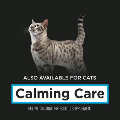 Calming Care Liver Flavored Powder Calming Supplement for Dogs, 30 count