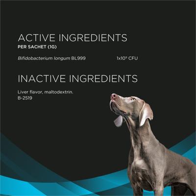 Calming Care Liver Flavored Powder Calming Supplement for Dogs, 30 count