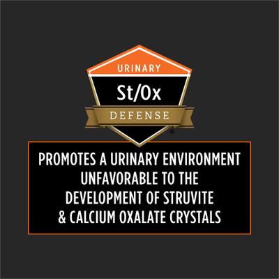 OM Overweight Management Wet Dog Food, 13.3-oz, case of 12