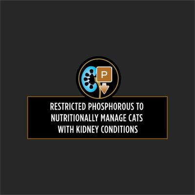 NF Kidney Function Advanced Care Wet Cat Food, 5.5-oz, case of 24