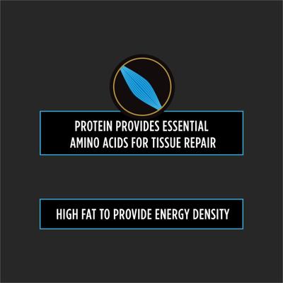 CN Critical Nutrition Wet Dog & Cat Food, 5.5-oz, case of 24